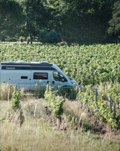 camping car dans les vignes